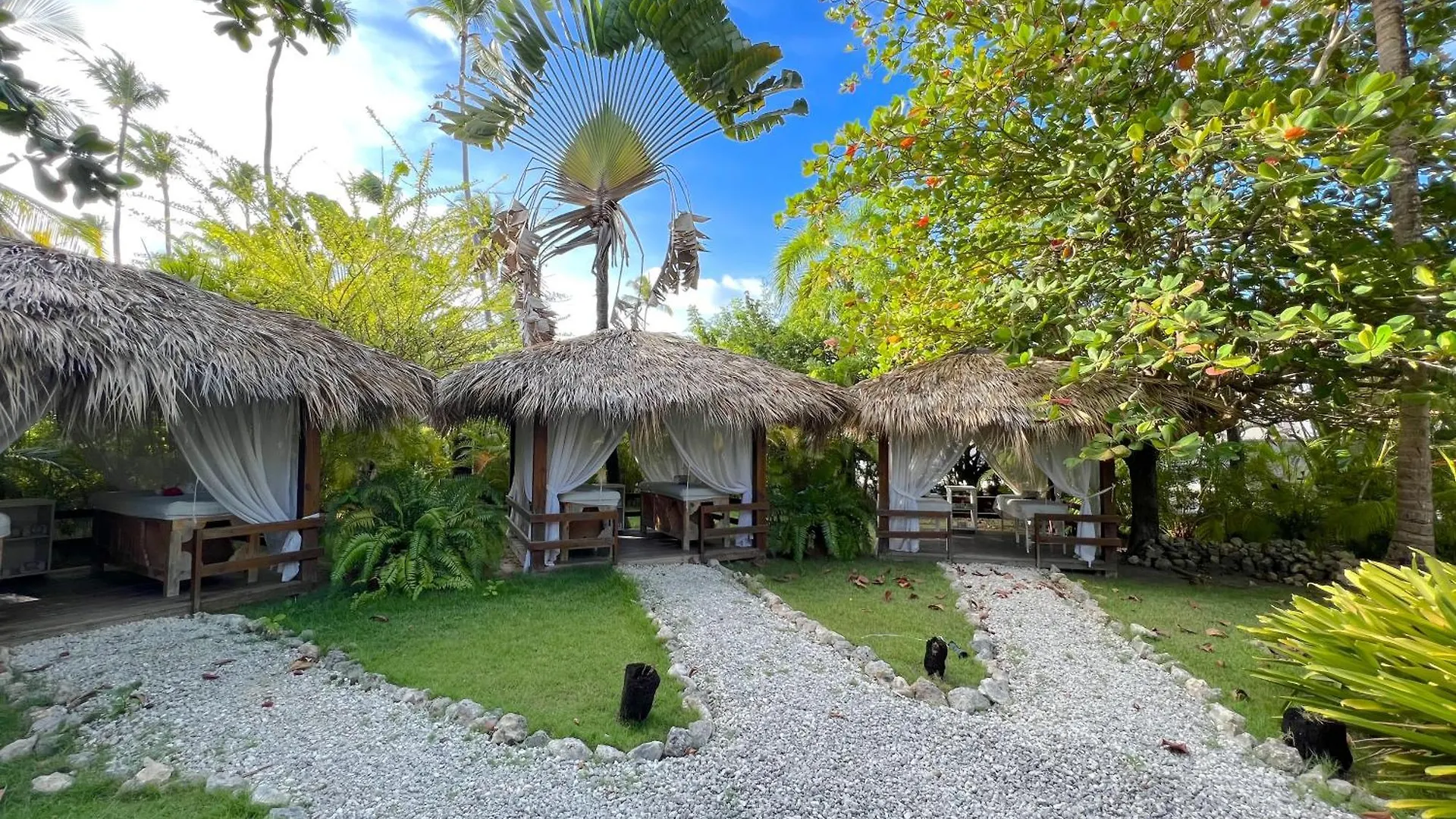 公寓式酒店 Olas Del Caribe - Vacation Suites With Rooftop Pool - Playa Los Corales 蓬塔卡纳